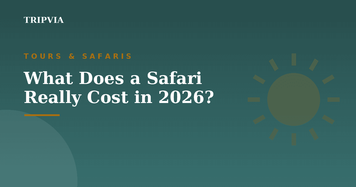 What does a safari really cost in 2026?